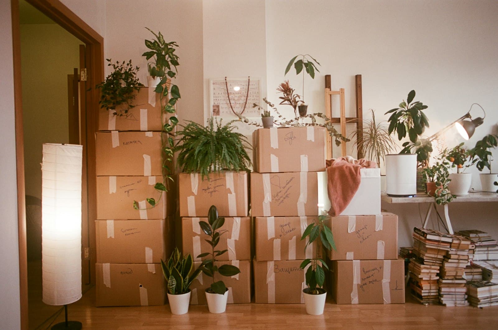 Labeled moving boxes stacked in a bright living room